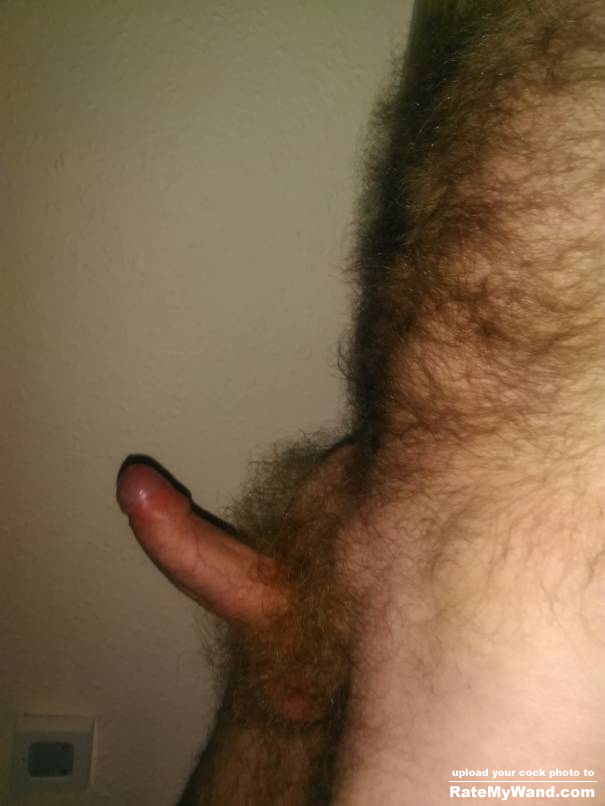 Do you like hairy males only i'm only interested in females if your female and interested please Kik me michael69fun - Rate My Wand