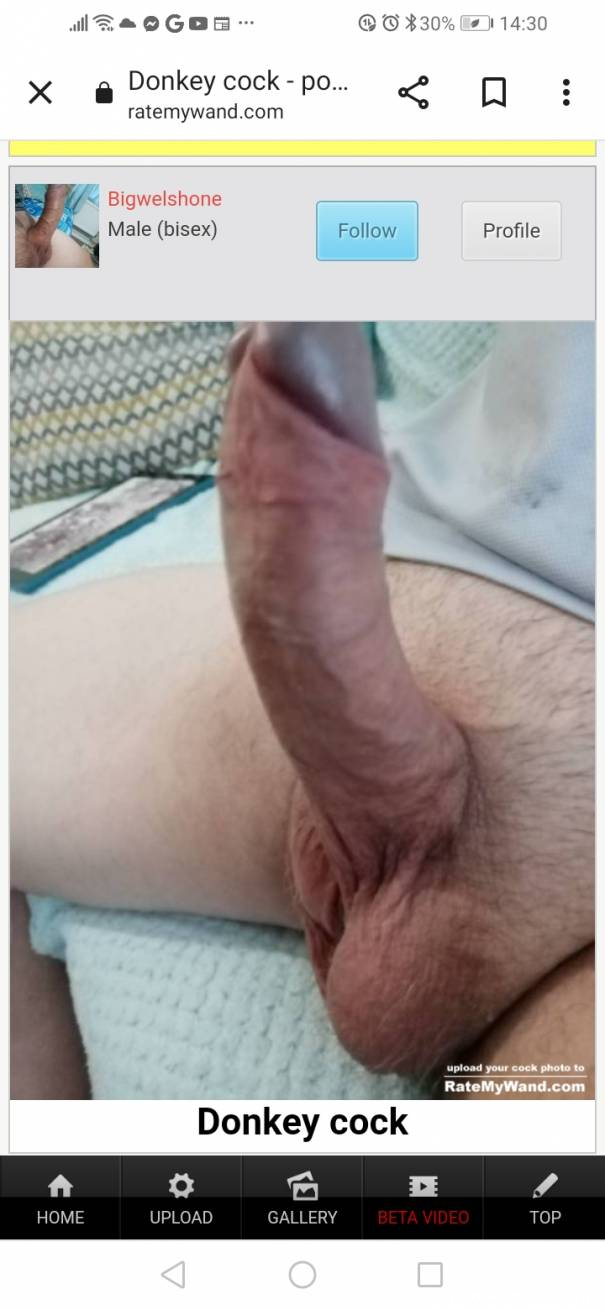 Donkey Dick revisited - Rate My Wand