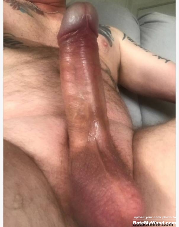 Latest photo of my huge fucking horse Dick available for men or women - Rate My Wand