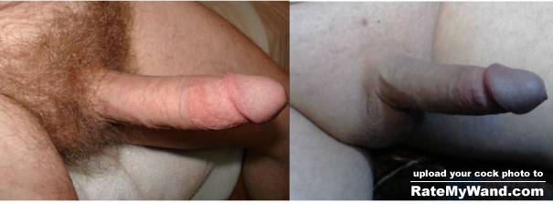Hairy or Shaved? - Rate My Wand