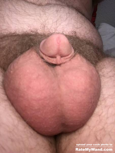 By balls Almost cover my tiny cock - Rate My Wand