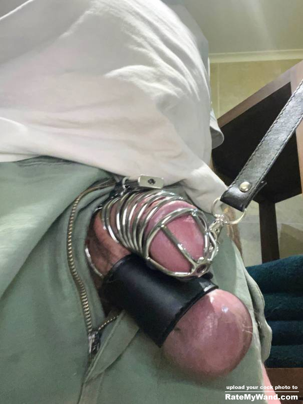 Cock cage on Leash!!!! - Rate My Wand