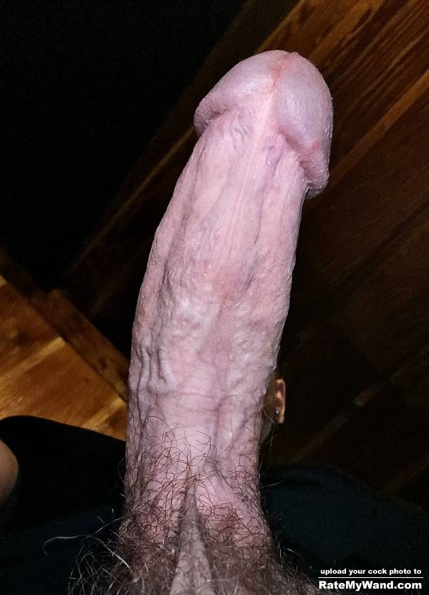 Get on ur knees and pleasure this fat cock - Rate My Wand