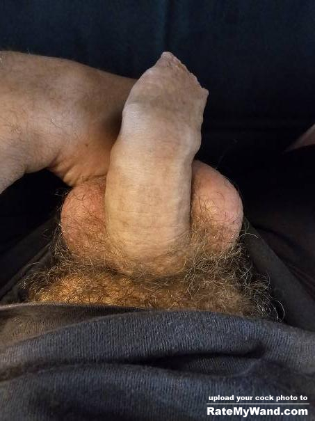 Soft hairy penis - Rate My Wand