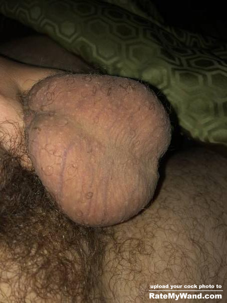 Any love for a pair of big hairy nuts? - Rate My Wand