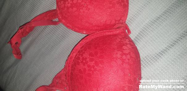 Her 32c cup slutty bra where her perky titties sit in - Rate My Wand