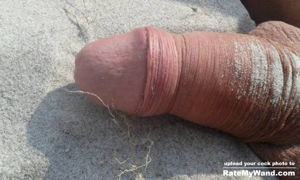Beach pussies beware of the sandworm. It will sneak in on you, and slide itself deep into any unaware pussy, and fill it with hot cum. - Rate My Wand