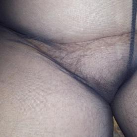Pussy in leggings - Rate My Wand