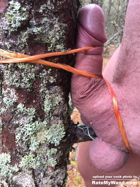 Tied up in the moist Damp forrest. As commanded done by Lovedripping C. - Rate My Wand