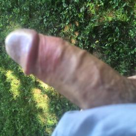 Kik to see it stroked - Rate My Wand