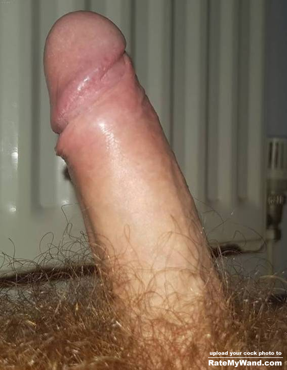my very hairy cock - Rate My Wand