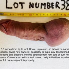 Sex slave auction ad - Rate My Wand