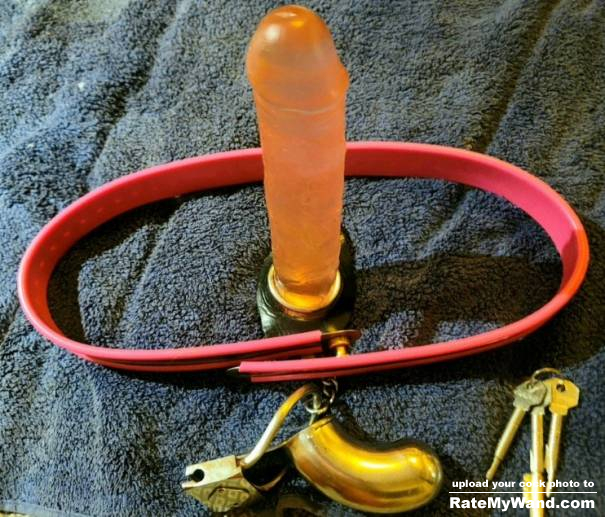 Hawaii Barbie sissy clit chastity belt tube with 8" x 1-1/2" jelly Dildo - Rate My Wand