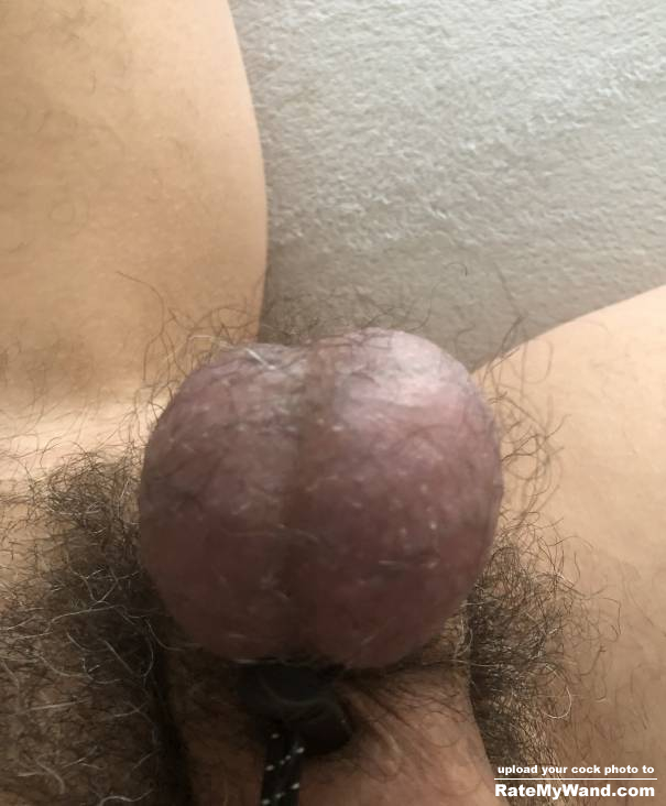Hairy balls - Rate My Wand