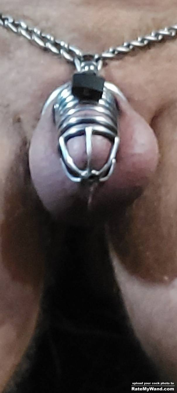 Dripping,,,,,if you like edging, then you really need to try it - Rate My Wand