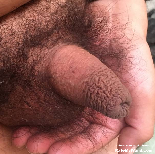 Little uncut penis - Rate My Wand