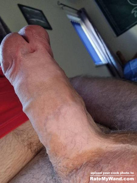 Front view of hard cock - Rate My Wand