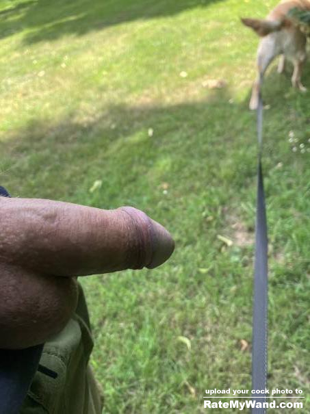 Cock out while walking my dog again today - Rate My Wand