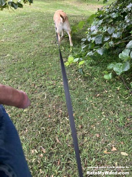 Cock out while walking my dog - Rate My Wand
