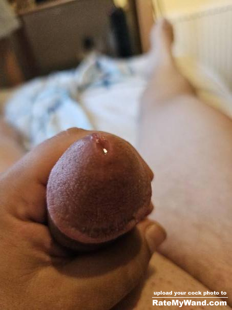 I'm stroking my hard Cock for you - Rate My Wand